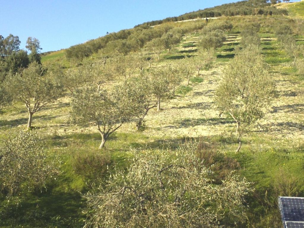 아그리젠토 Agriturismo Due Ganee 빌라 외부 사진